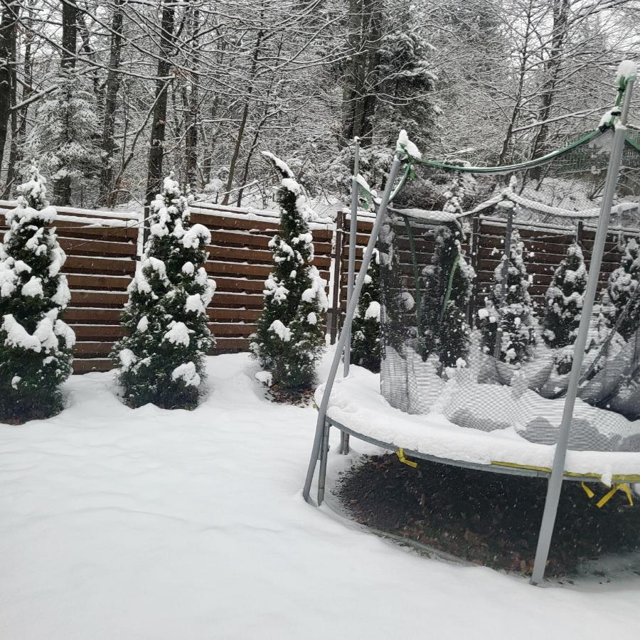 Villa Quad Poiana Brasov Exterior foto